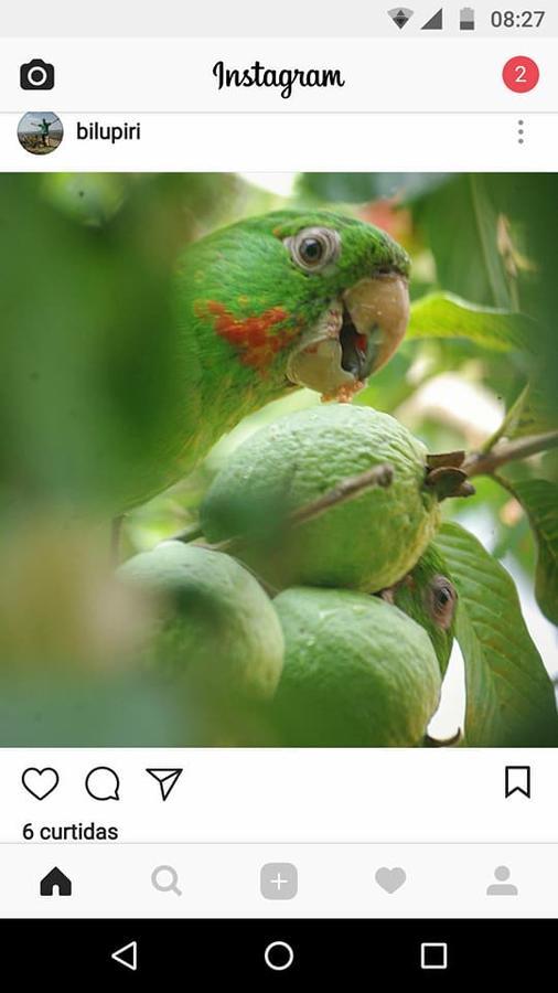 Casa Esmeralda Para Descanso Pirenópolis Esterno foto